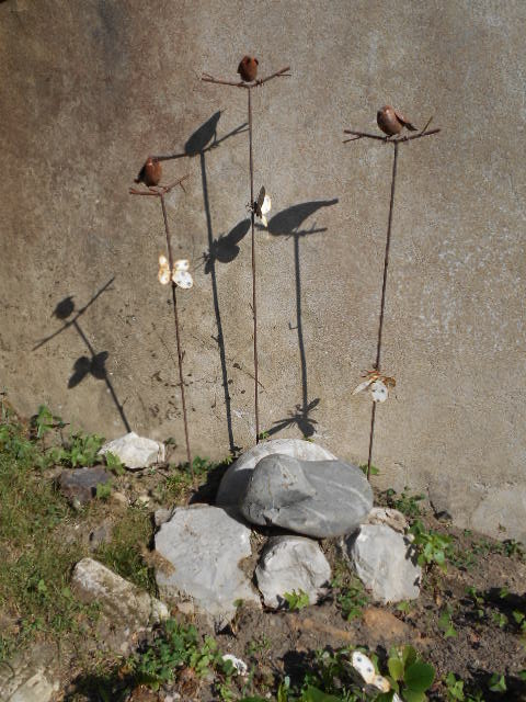 colibri de maslacq